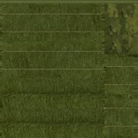 Asset preview